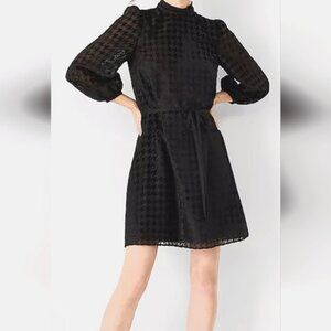 Ann Taylor black velvet dress